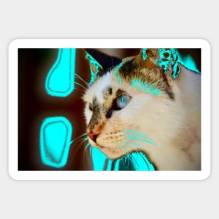 Radioactive Cat / Swiss Artwork Photography Sticker